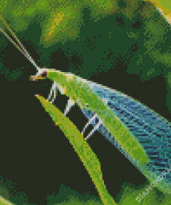 Aesthetic Lacewing Insect Diamond Paintings