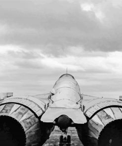 Black And White F14 Tomcat Diamond Paintings