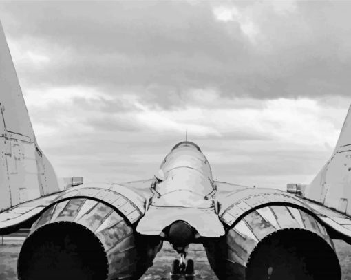 Black And White F14 Tomcat Diamond Paintings