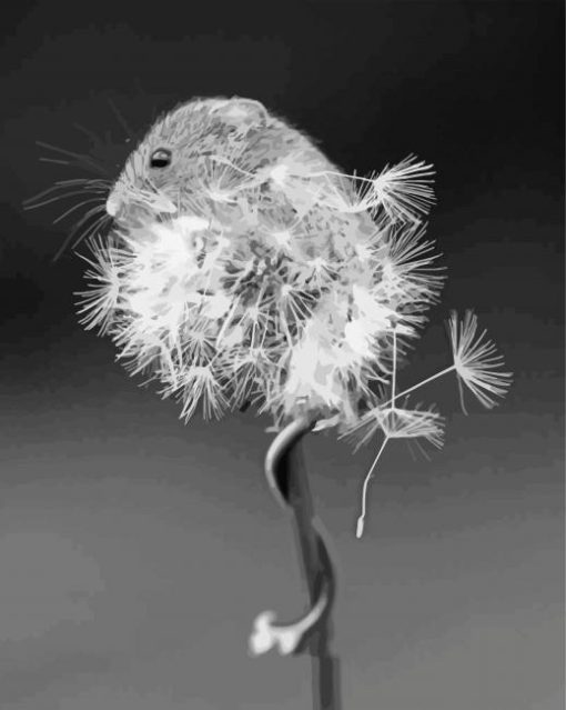 Black And White Mouse And Dandelion Diamond Paintings