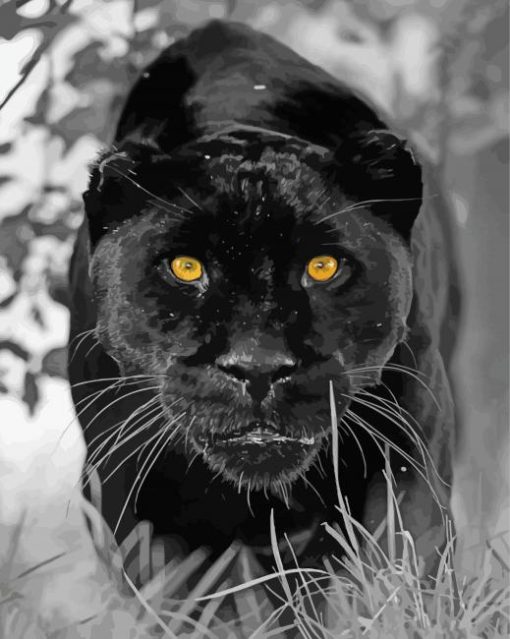 Black Jaguar With Yellow Ayes Diamond Paintings