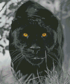 Black Jaguar With Yellow Ayes Diamond Paintings