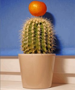 Clementine On Cactus Diamond Paintings