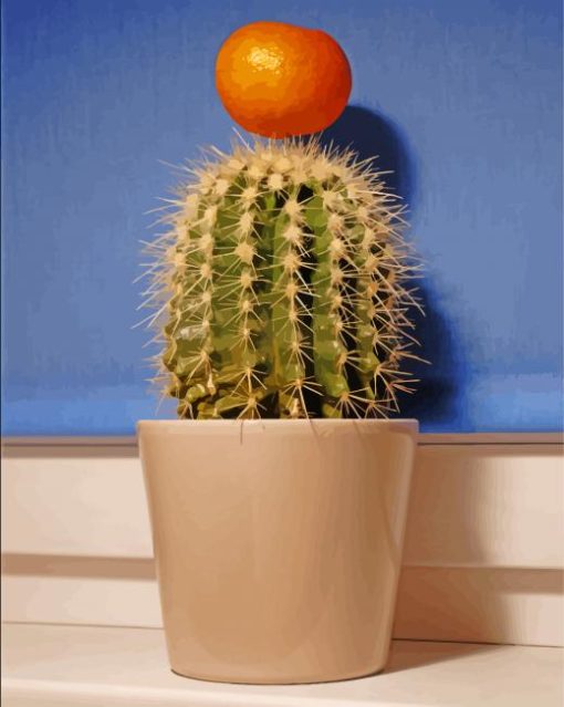 Clementine On Cactus Diamond Paintings