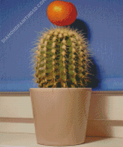 Clementine On Cactus Diamond Paintings