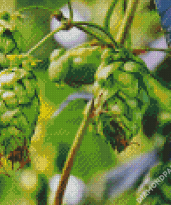 Climber Plant Hops Fruits Diamond Paintings