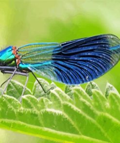 Cool Damsel Fly Diamond Paintings