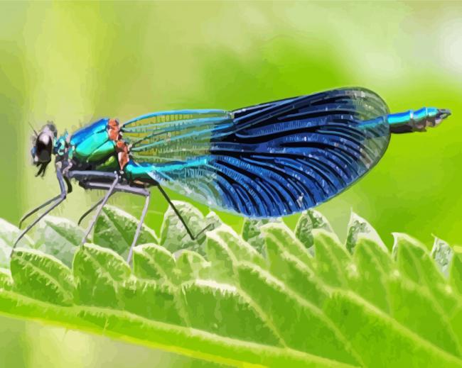 Cool Damsel Fly Diamond Paintings