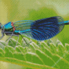 Cool Damsel Fly Diamond Paintings