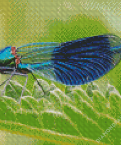 Cool Damsel Fly Diamond Paintings