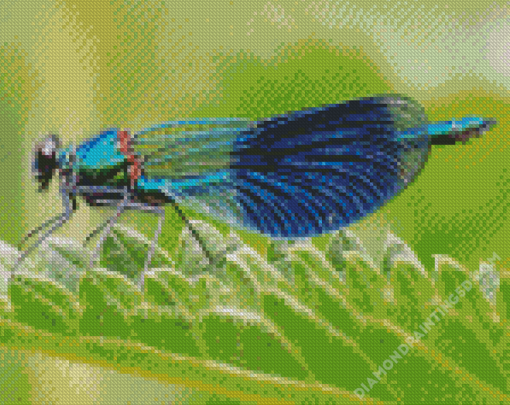 Cool Damsel Fly Diamond Paintings