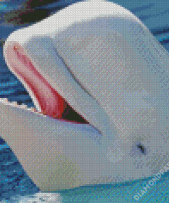 Cute Beluga Whale Animal Diamond Paintings