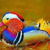 Cute Mandarin Duck Diamond Paintings