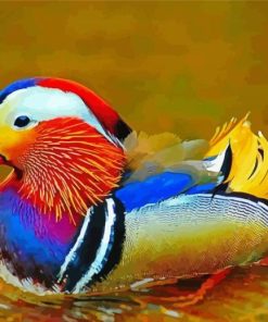 Cute Mandarin Duck Diamond Paintings