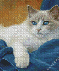 Cute Ragdoll Cat Diamond Paintings