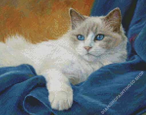 Cute Ragdoll Cat Diamond Paintings