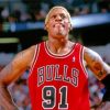 Dennis Rodman Chicago Bulls Diamond Paintings