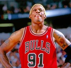 Dennis Rodman Chicago Bulls Diamond Paintings