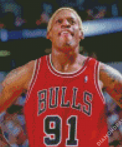 Dennis Rodman Chicago Bulls Diamond Paintings