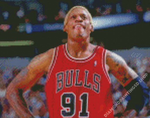 Dennis Rodman Chicago Bulls Diamond Paintings