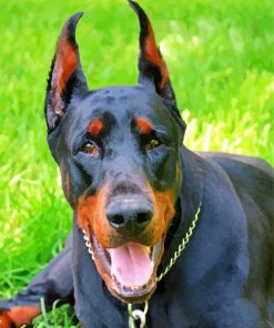 Dobermann Dog Diamond Paintings