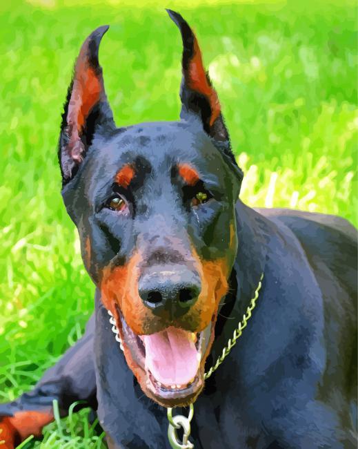 Dobermann Dog Diamond Paintings