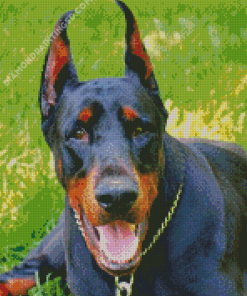 Dobermann Dog Diamond Paintings