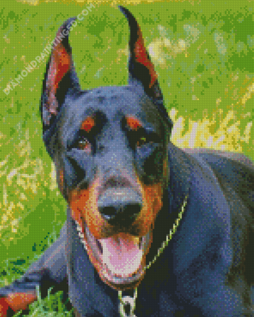 Dobermann Dog Diamond Paintings