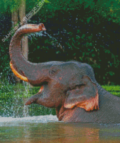 Funny Elephant In Water Diamond Paintings