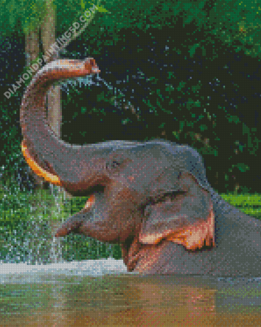 Funny Elephant In Water Diamond Paintings