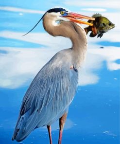 Great Blue Heron With Fish in Water Diamond Paintings