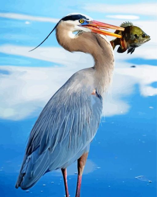 Great Blue Heron With Fish in Water Diamond Paintings