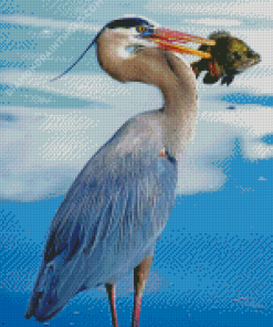 Great Blue Heron With Fish in Water Diamond Paintings