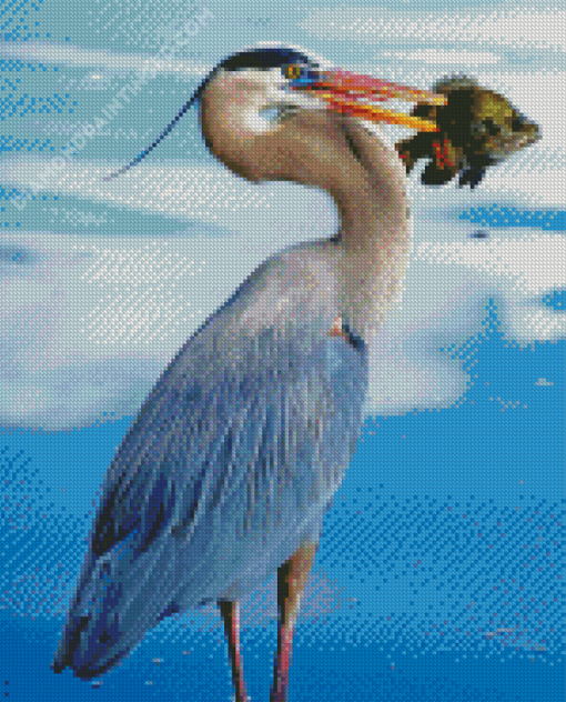 Great Blue Heron With Fish in Water Diamond Paintings