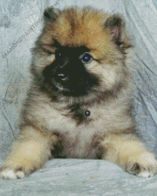 Keeshond Puppy Diamond Paintings