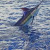 Marlin Fish in Sea Diamond Paintings