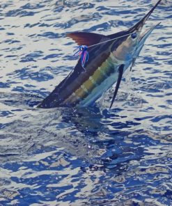 Marlin Fish in Sea Diamond Paintings