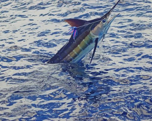 Marlin Fish in Sea Diamond Paintings