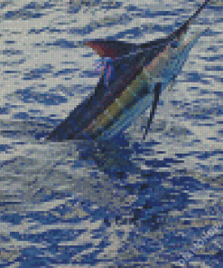 Marlin Fish in Sea Diamond Paintings