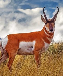 Pronghorn Animal Diamond Paintings