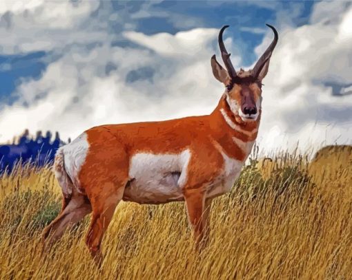 Pronghorn Animal Diamond Paintings