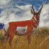 Pronghorn Animal Diamond Paintings