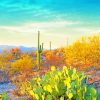 Saguaro National Park Beautiful Adult Diamond Paintings