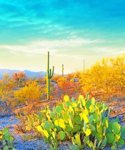 Saguaro National Park Beautiful Adult Diamond Paintings