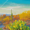 Saguaro National Park Beautiful Adult Diamond Paintings