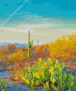 Saguaro National Park Beautiful Adult Diamond Paintings