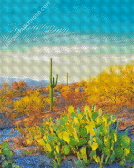 Saguaro National Park Beautiful Adult Diamond Paintings