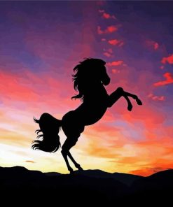 Sunset Red Sky Horse Diamond Paintings