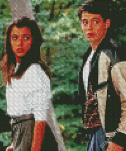 Vintage Ferris Bueller Diamond Paintings