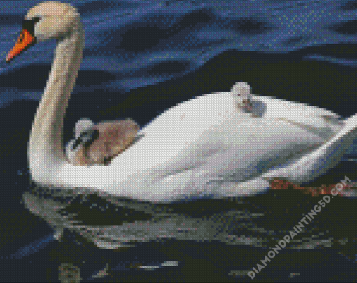 White Swans in Water Diamond Paintings